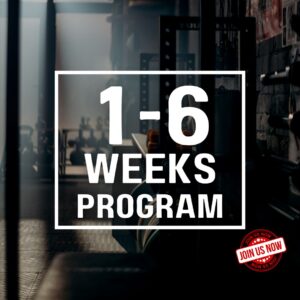 1-6 Weeks Program